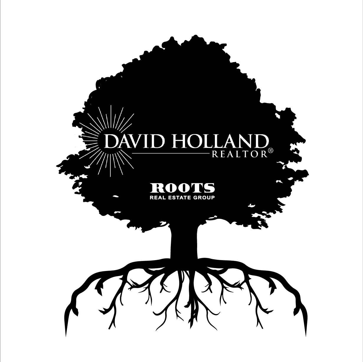 David Holland Realtors